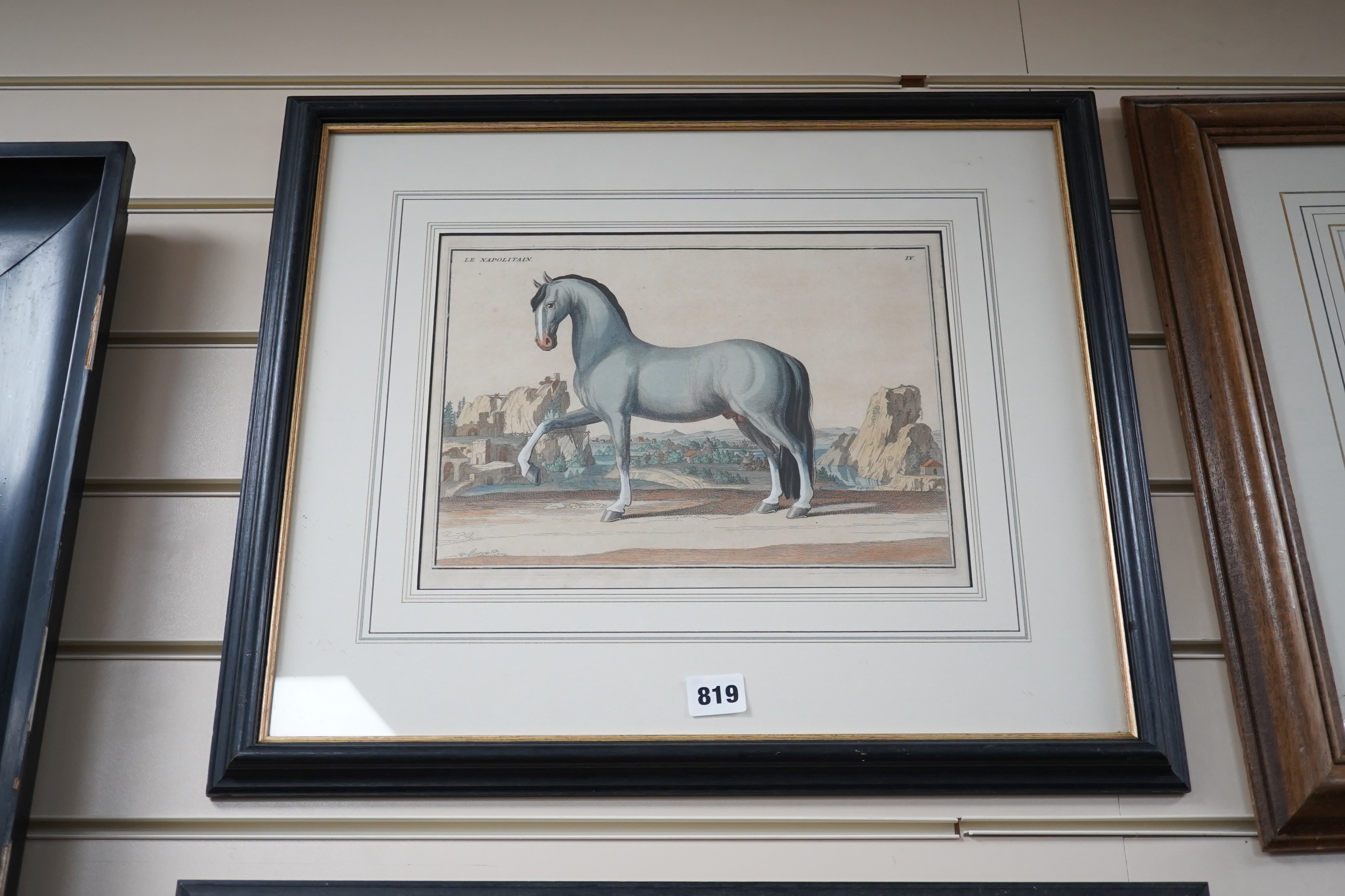 Four 18th/19th century coloured etchings, horses to include ‘Le Napolitain’ and ‘Le Turc’, 23 x 30cm. Condition - fair